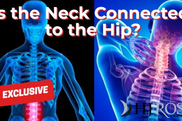 Is the Neck Connected to the Hip?